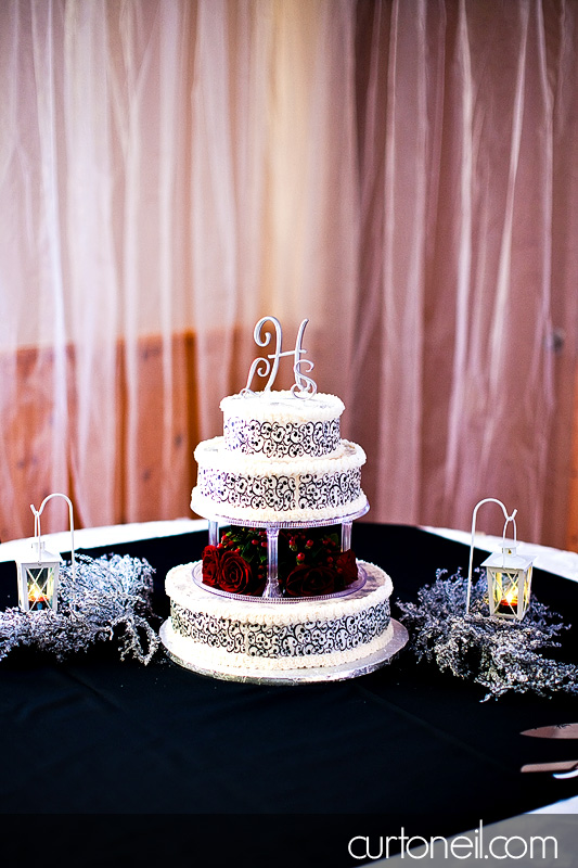 Sault Ste Marie Wedding Photography - Lisa and Scott - winter cold