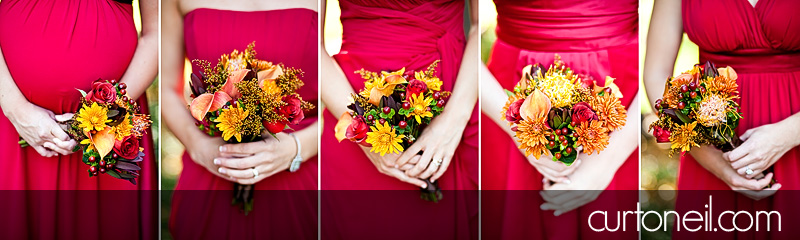 Sault Ste Marie Wedding Photography - Marianne and Mark - fall, Hiawatha, colours