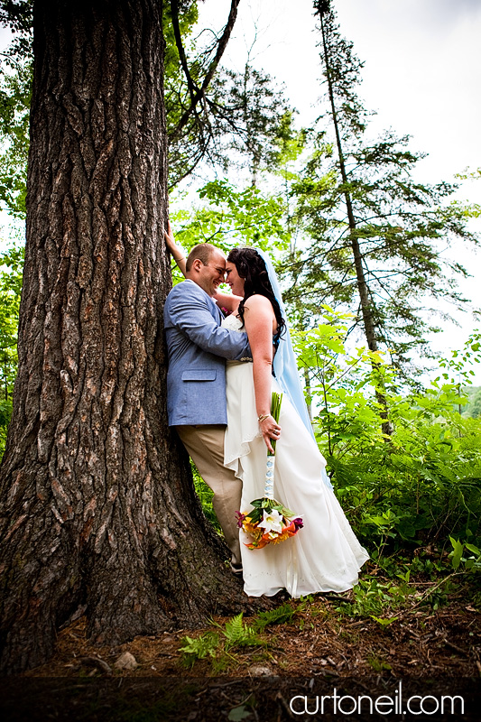 Sault Wedding - Margaret and John - sneak peek against the big tree