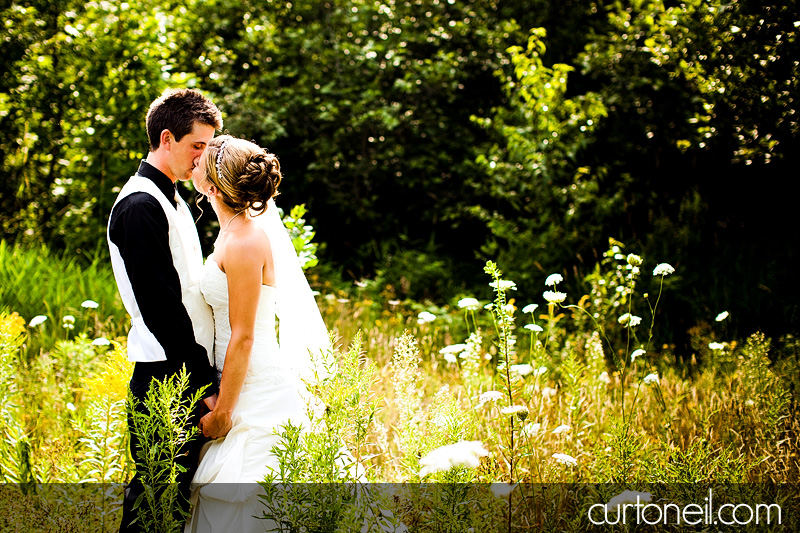 Sault Ste Marie Wedding Photography - Mel and Ryan - Sneak peek, Wishart Park, tall grass