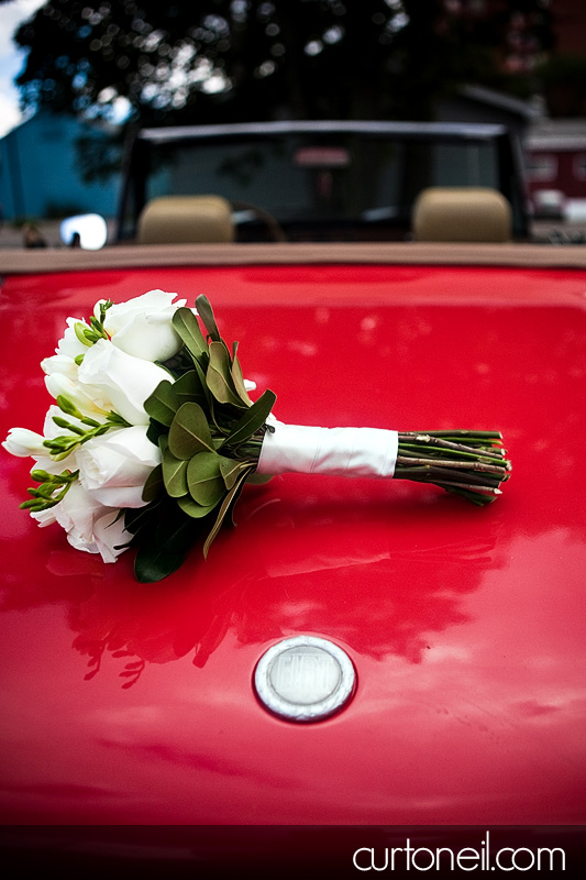 Sault Ste Marie Wedding Photography - Mary and Steve