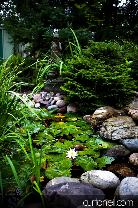 Sault Ste Marie Wedding - Rebecca and Brent - backyard ceremony