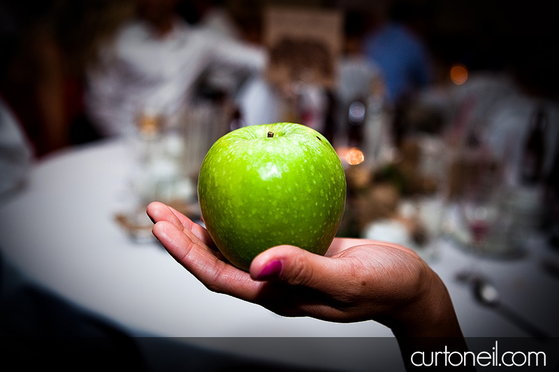 Sault Ste Marie Wedding Photography - Rachel and Ryan - reception apple