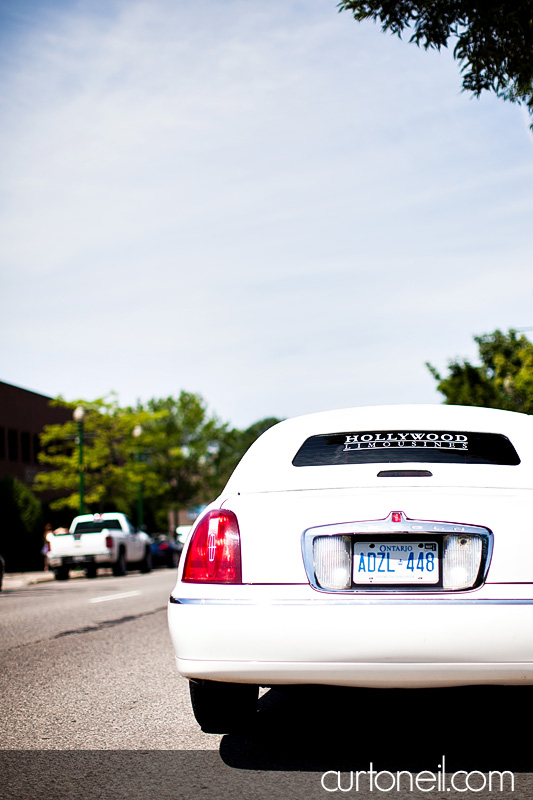 Sault Ste Marie Wedding Photography - Sandy and Skip - arboretum, Marconi, sunny, fun