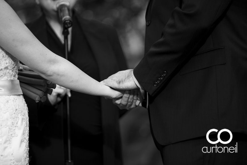 Sault Ste Marie Wedding Photography - Tricia and Marc - Las Vegas, winter, Mirage, Venetian, Las Vegas Strip