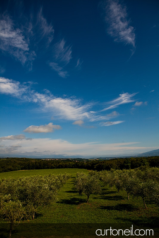 Olive garden at Borgo Iesolana - Bucine Tuscany Italy wedding