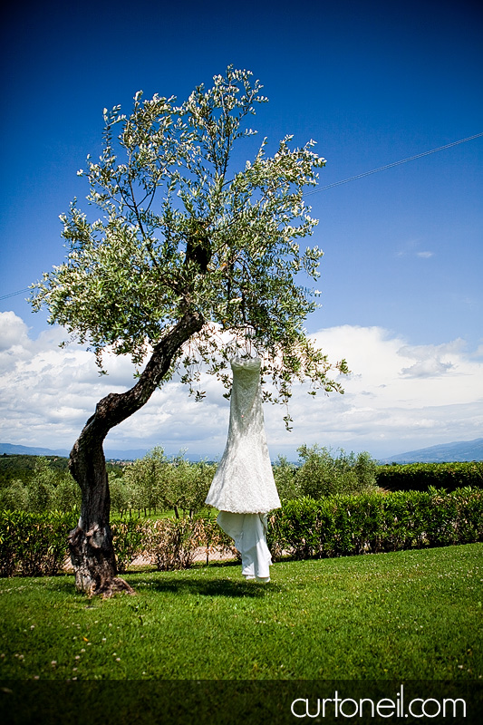 wedding dress in a tree at Borgo Iesolana Bucine Tuscany Italy wedding