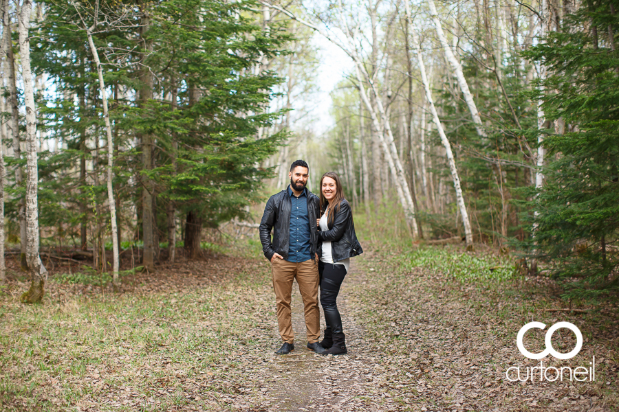 Lisa and Josh - Sault Engagement