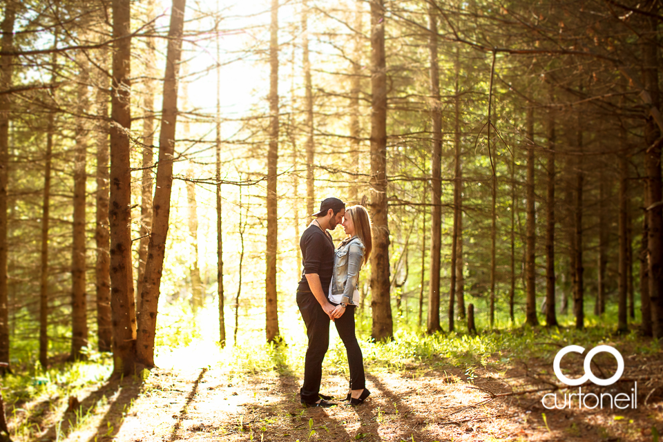 Amanda and Mike - Sault Engagement - Fort Creek