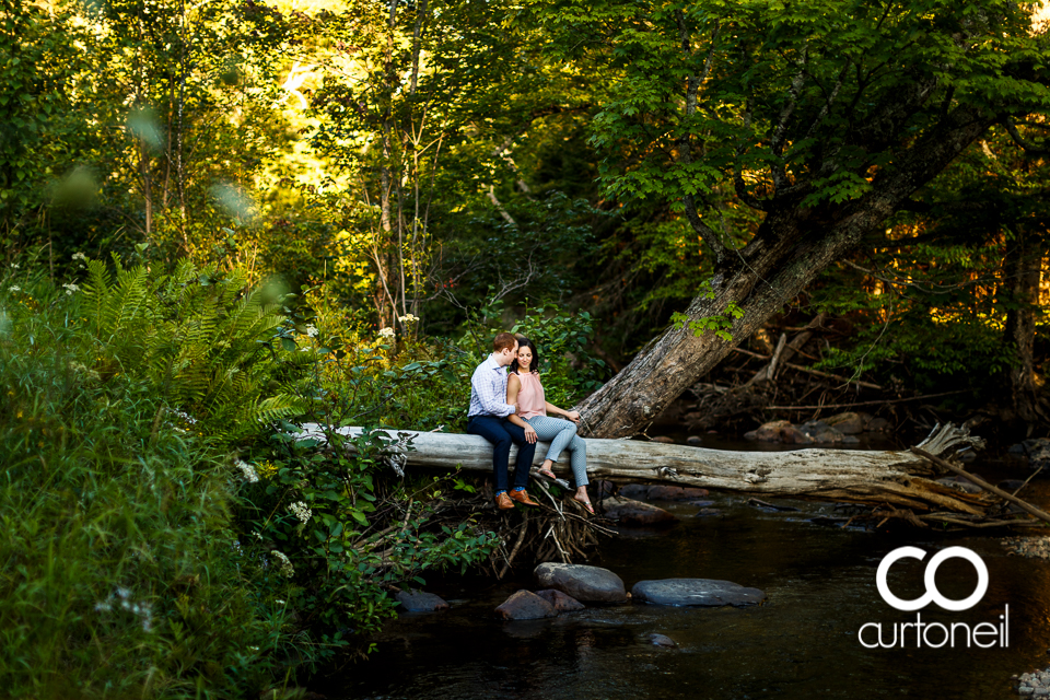 Ashley and Dante - Sault Engagement - sneak, Wishart Park, tree, water