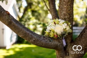 Aimee and Chris - Sault Ste Marie Wedding - Crimson Ridge