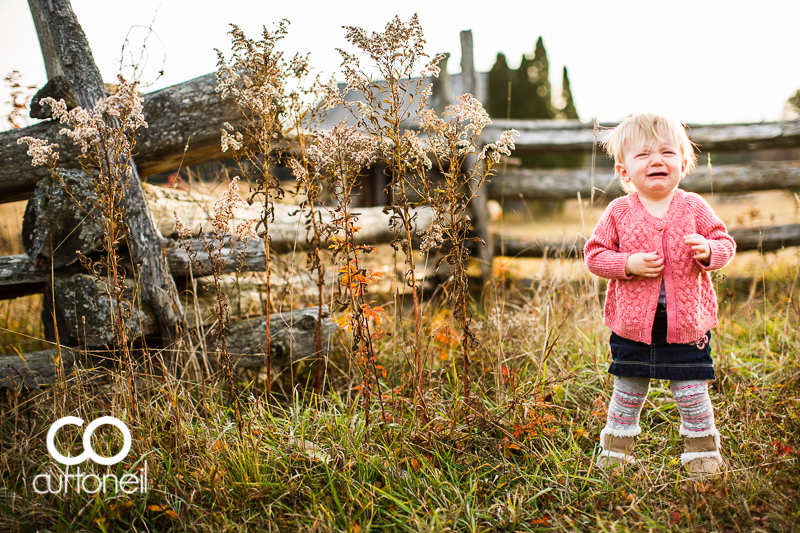 Sault Ste Marie Baby Photography - Jocelyn at 12 months - sneak peek from Mockingbird Hill Farm