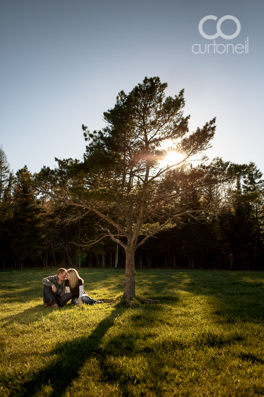 Sault Ste Marie Engagement Photography - Lisa and Steve - sneak peek, open field, farm, single tree, Bruce Mines