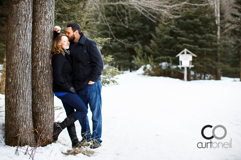 Sault Ste Marie Engagement Photography - Sandra and Caleb - sneak peek at Stokely Creek Lodge, cross country ski, trees, winter, cold