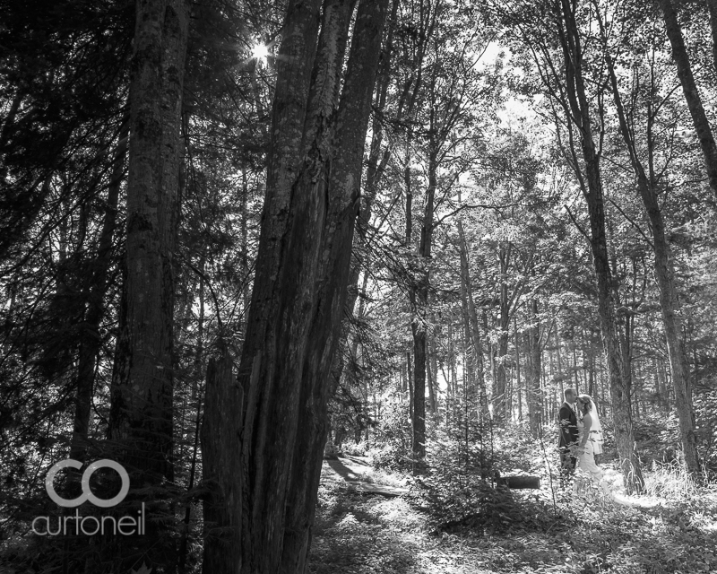 Sault Ste Marie Wedding Photography - Shannon and Phil - sneak peek, summer, Ebony Acres, trees, forest